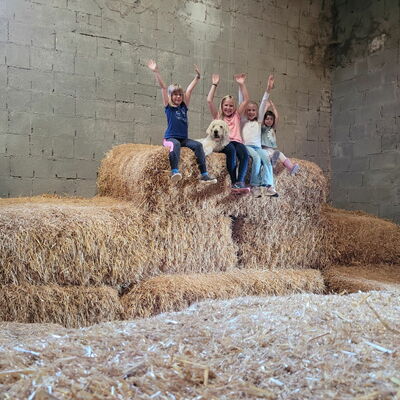 Glückliche Kinder spielen im Stroh der Strohspielscheune auf dem Landgut Pfauenhof in der Eifel