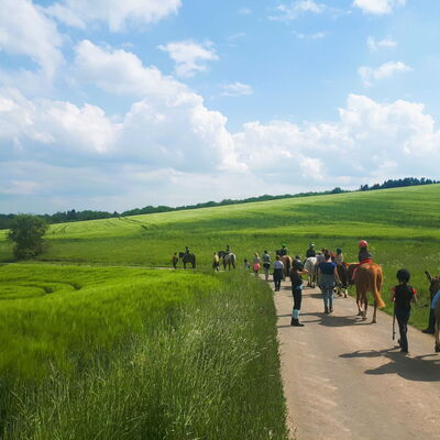 Pferde, Pferdewanderung, Eifel, Landgut Pfauenhof