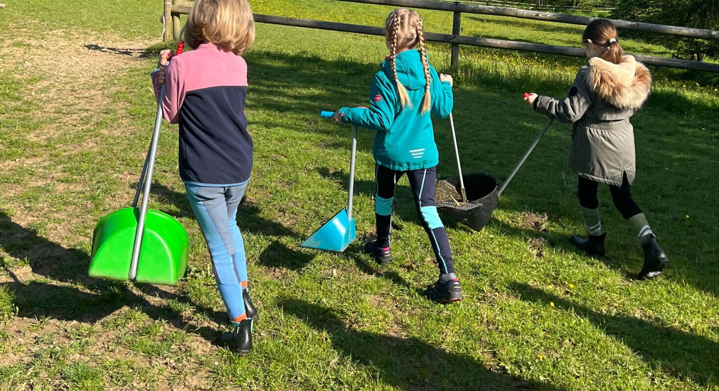 Kinder gehen zum Abäppeln einer Pferdekoppel auf dem Landgut Pfauenhof in der Eifel