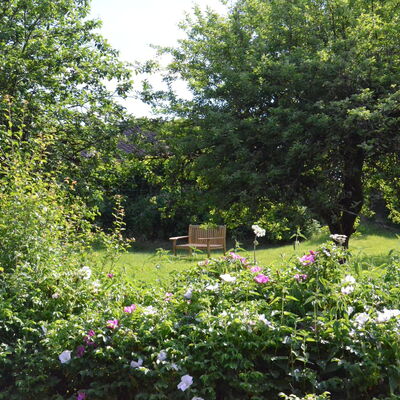 Landgut Pfauenhof - Ferienwohnungen in der Eifel