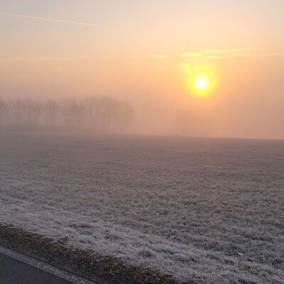 Ein winterliches Feld auf dem Landgut Pfauenhof in der Eifel