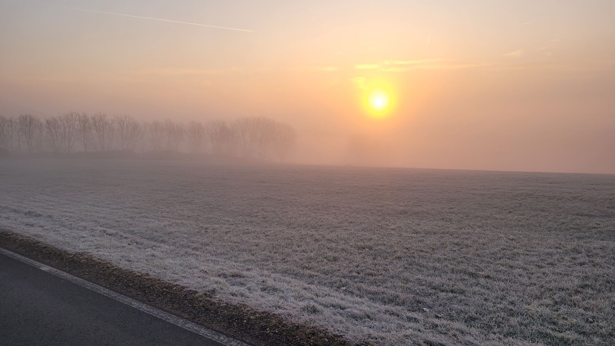 Ein winterliches Feld auf dem Landgut Pfauenhof in der Eifel