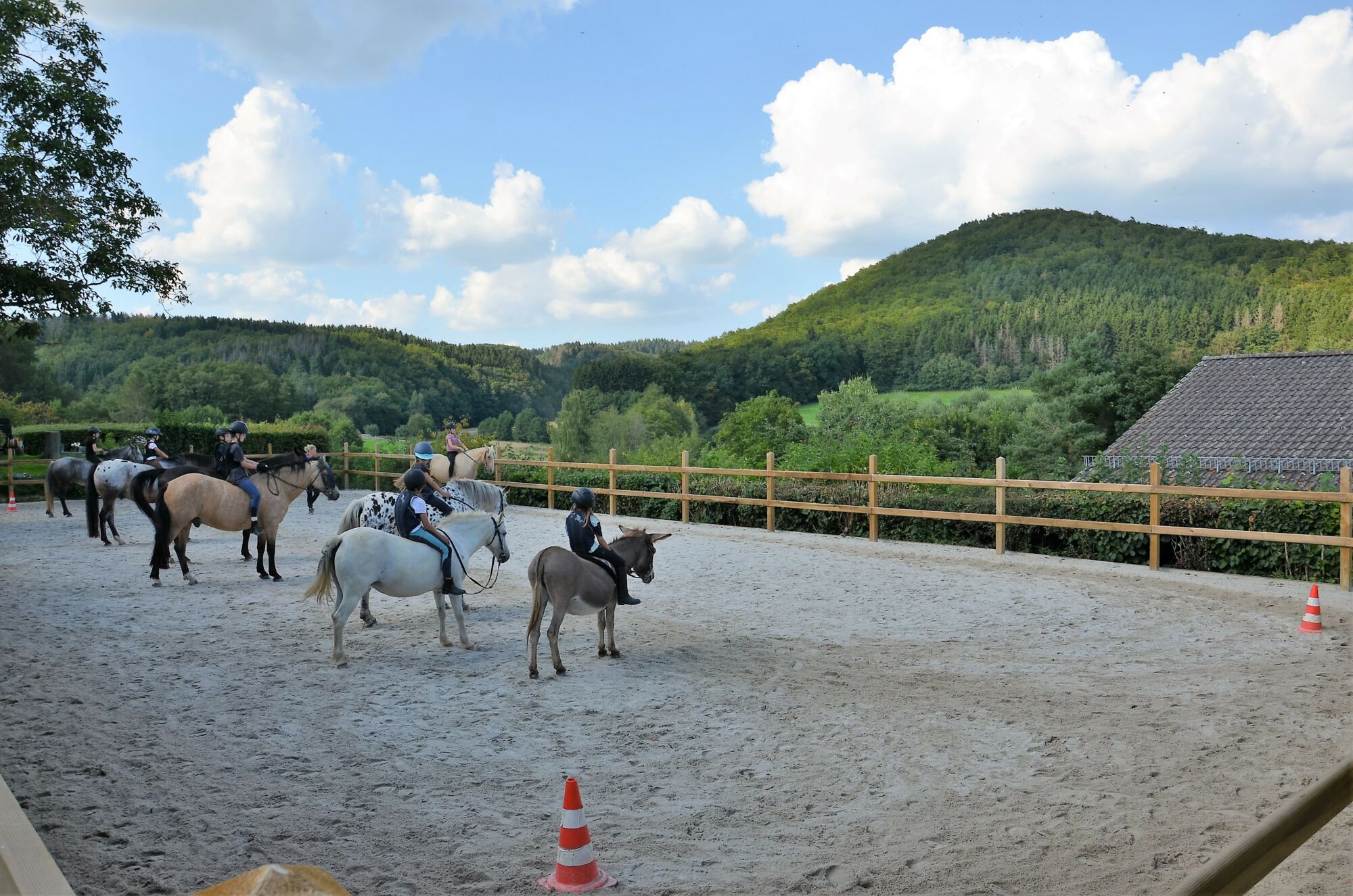 Reiten in der Abteilung auf unserem Panoramareitplatz