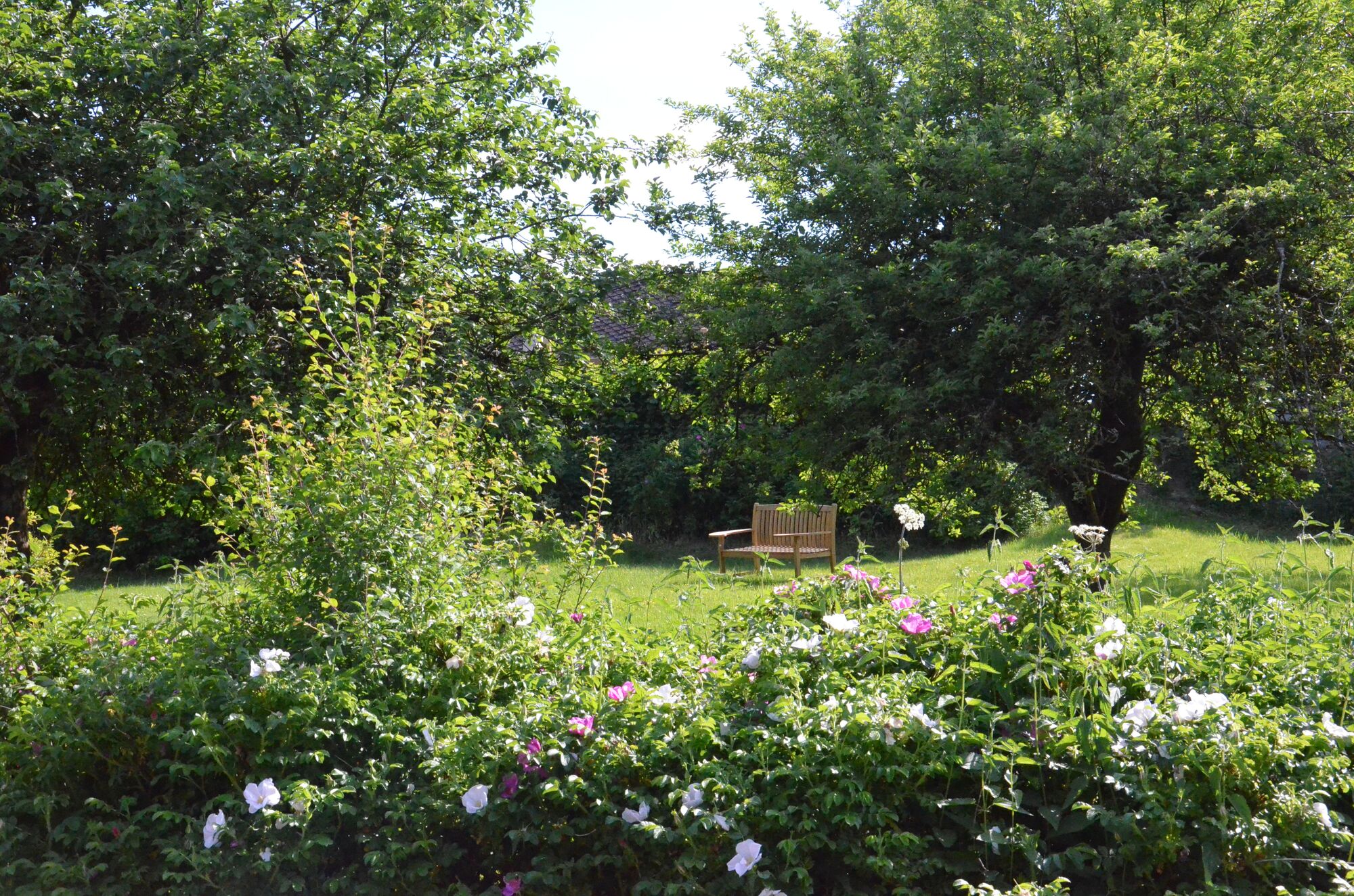 Landgut Pfauenhof - Ferienwohnungen in der Eifel